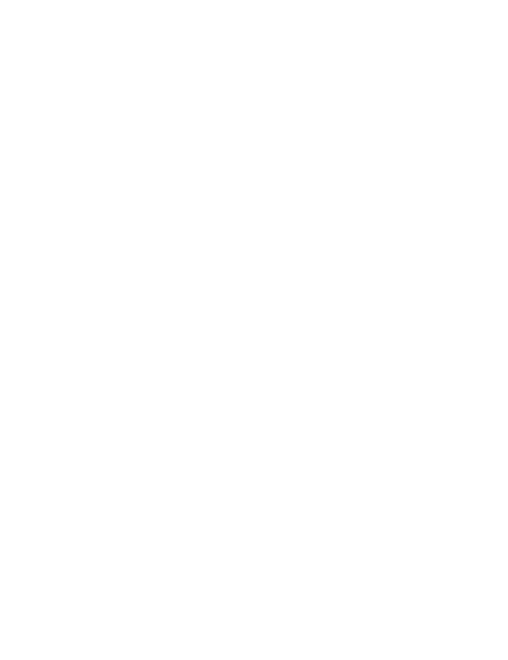 Love Delhi Gin logo
